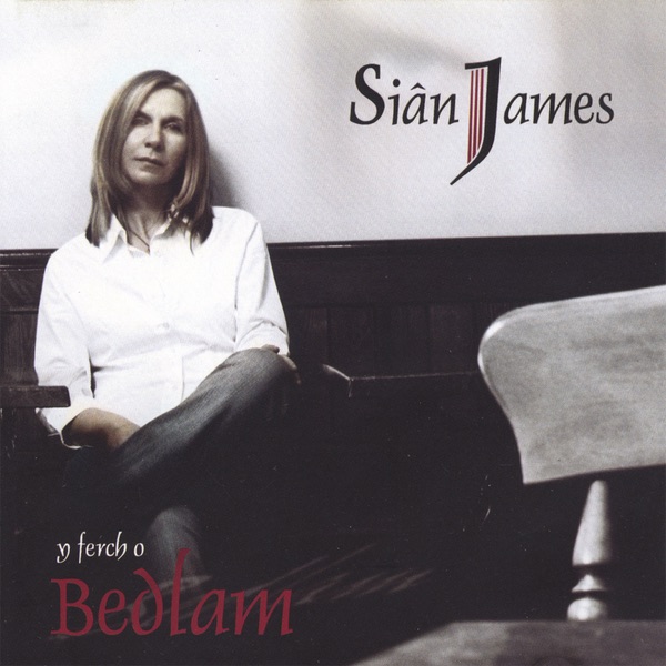 Y Ferch o Bedlam album cover